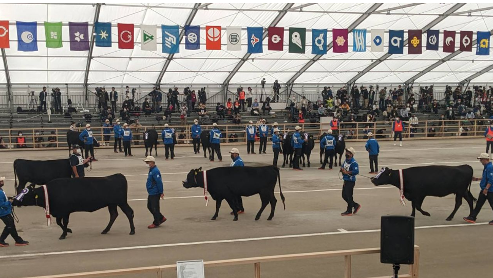 丰满的继牳2理伦片