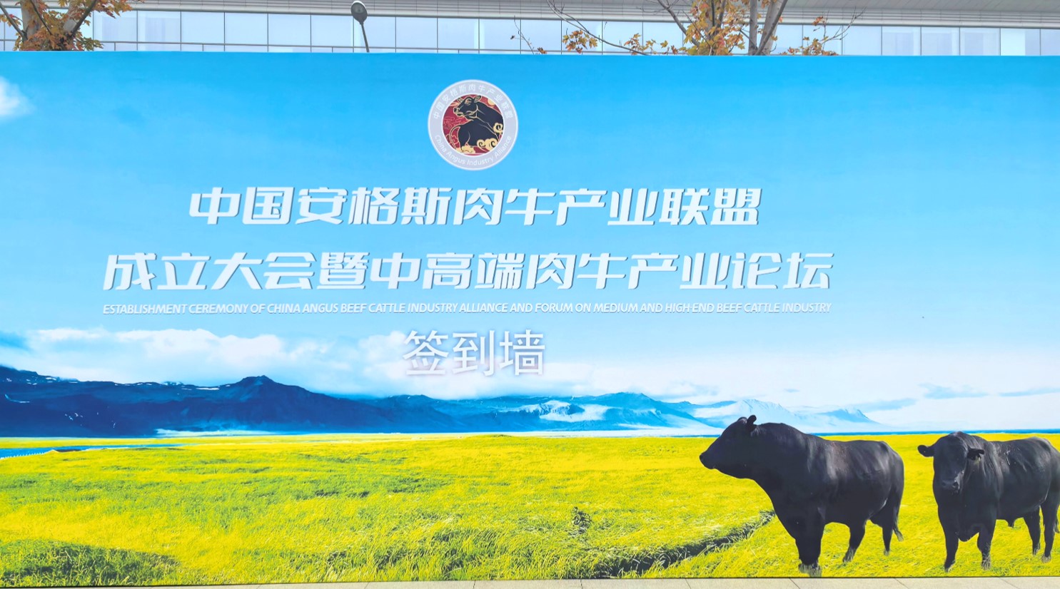 丰满的继牳2理伦片