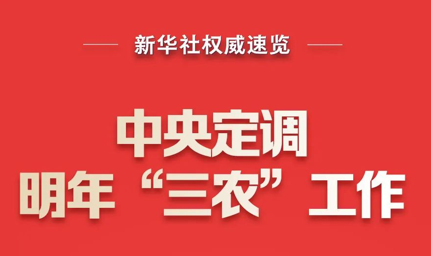丰满的继牳2理伦片